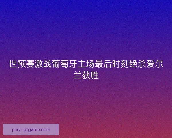 世预赛激战葡萄牙主场最后时刻绝杀爱尔兰获胜