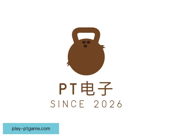 认识PT电子